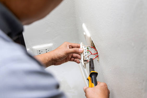 Best Electric Panel Repair  in Jarrell, TX